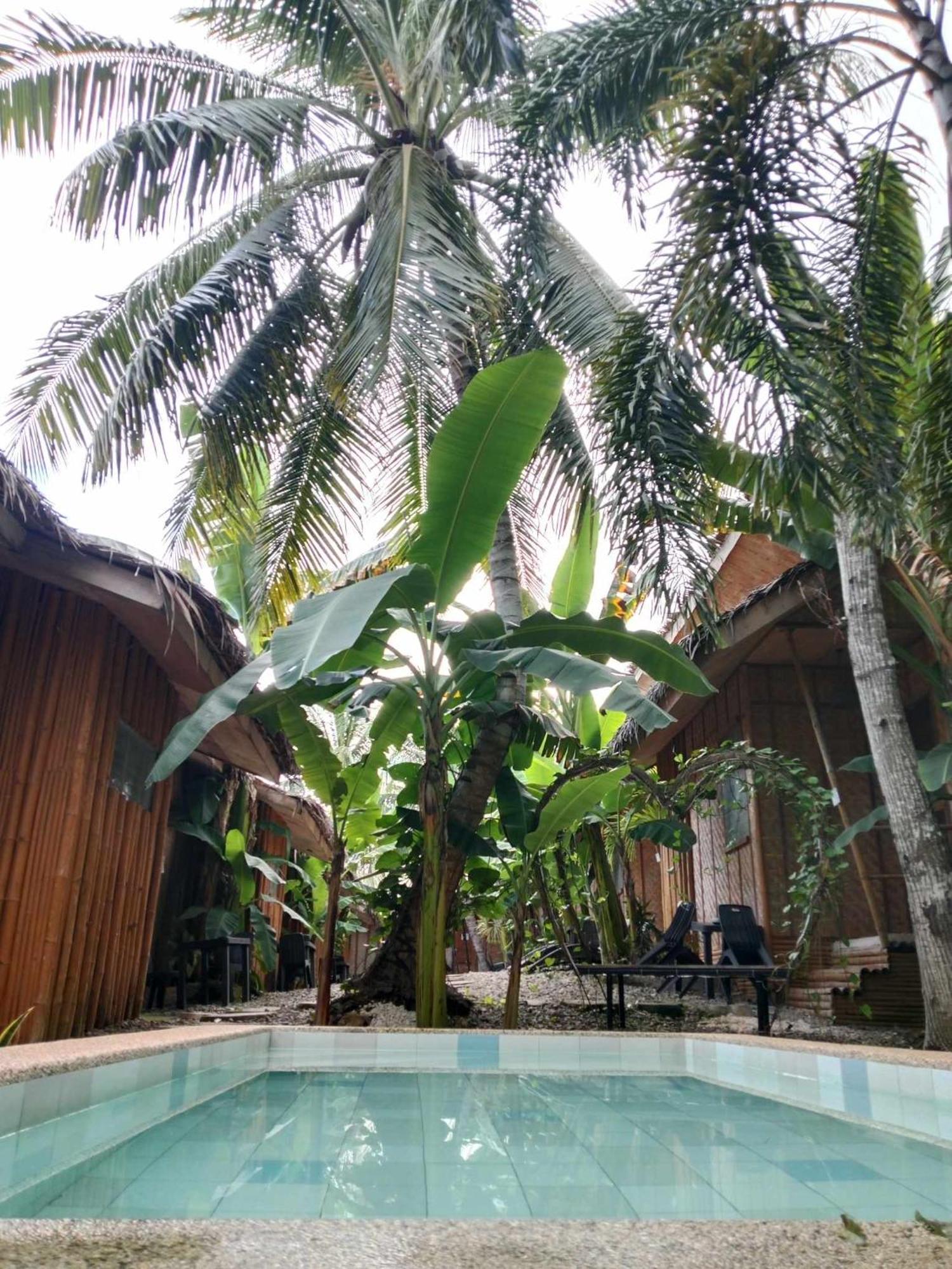 Ecostay Panglao Resort Hotel Exterior foto