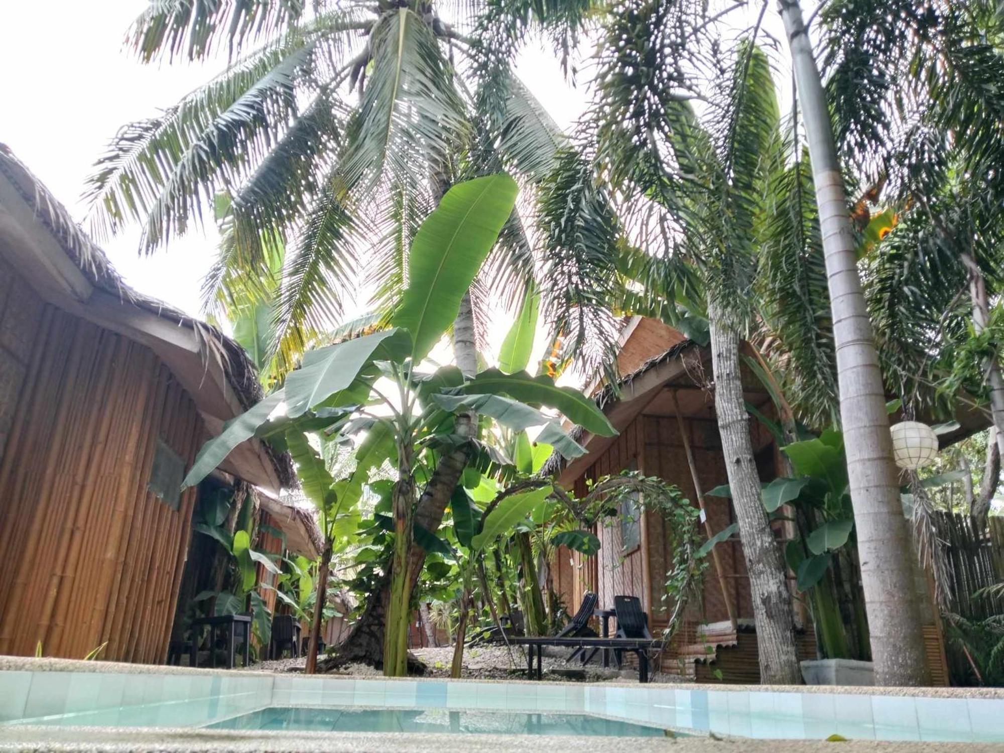 Ecostay Panglao Resort Hotel Exterior foto